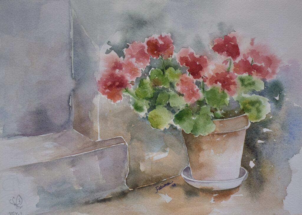 Geraniums at Home