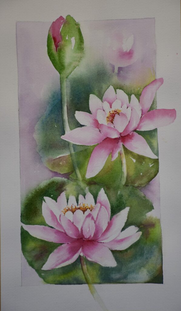 Lotuses in Meditation
