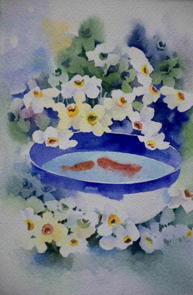 Koi in the Daisy Garden