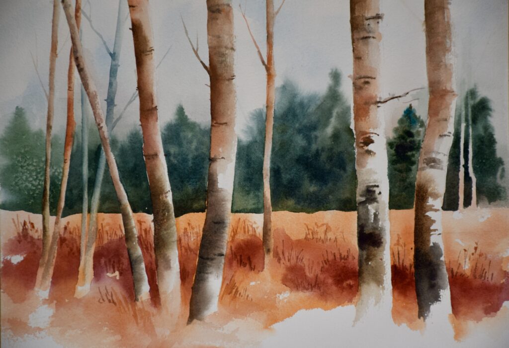 Aspens of the Copper Field