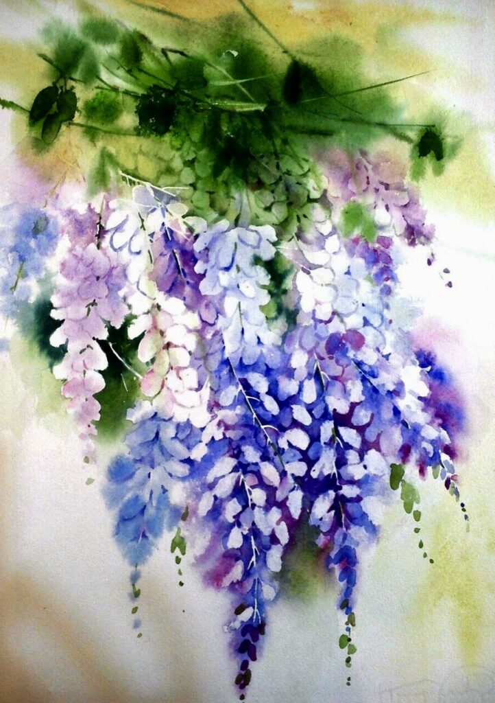 Wisteria Clusters in the Breeze
