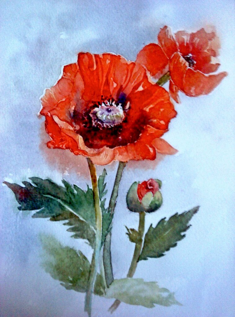 Red Poppy and Two Promises