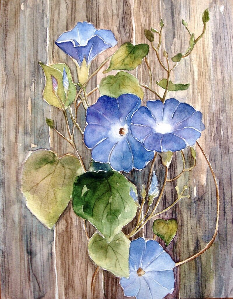 Blue Morning Glories on Weathered Wood