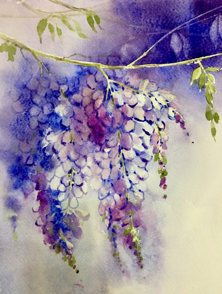 Indigo Cluster in the Light