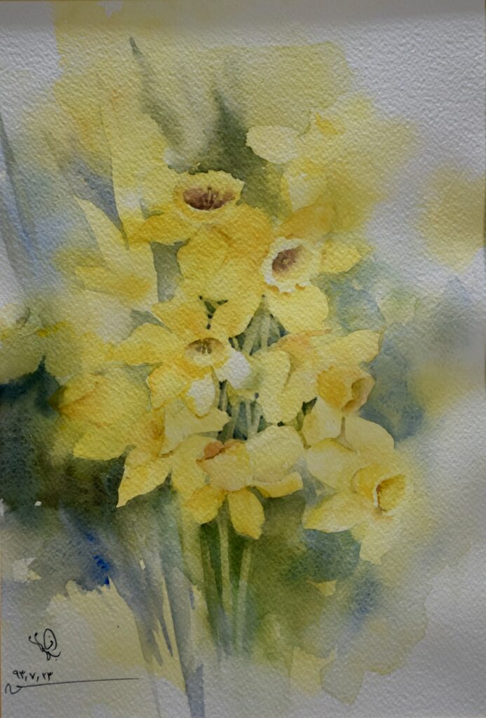Narcissus