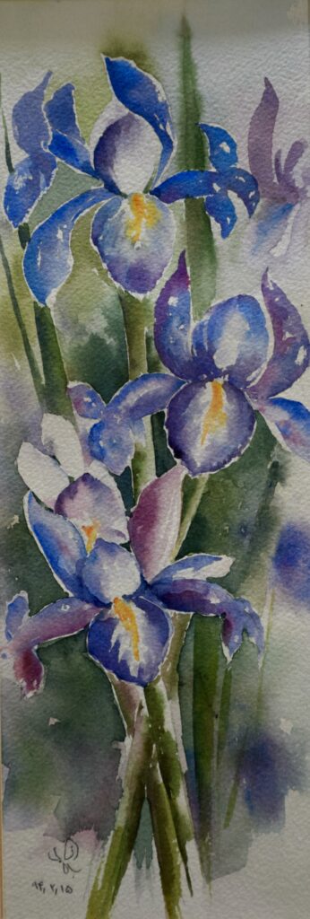 Indigo Irises Reaching Skyward