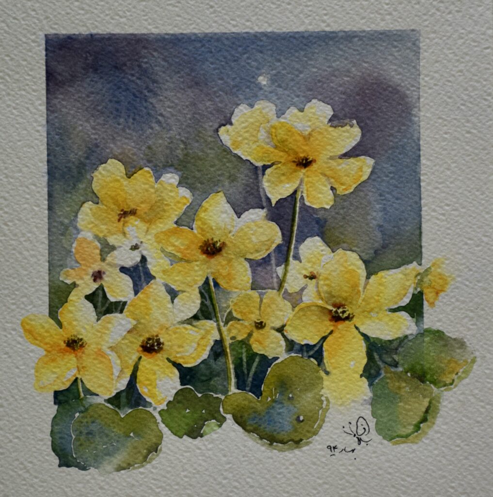 Yellow Blossoms Framed by Night