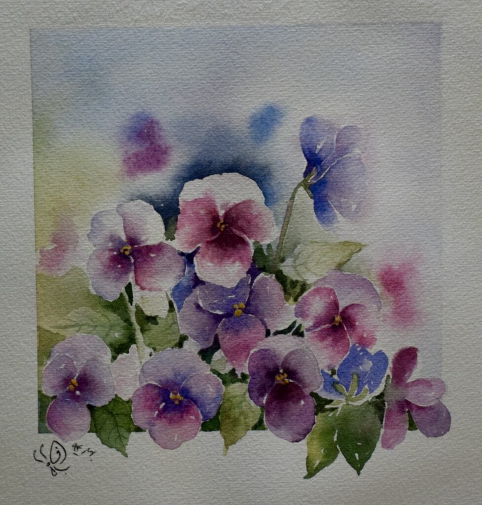 Pansies at the Edge of Mist