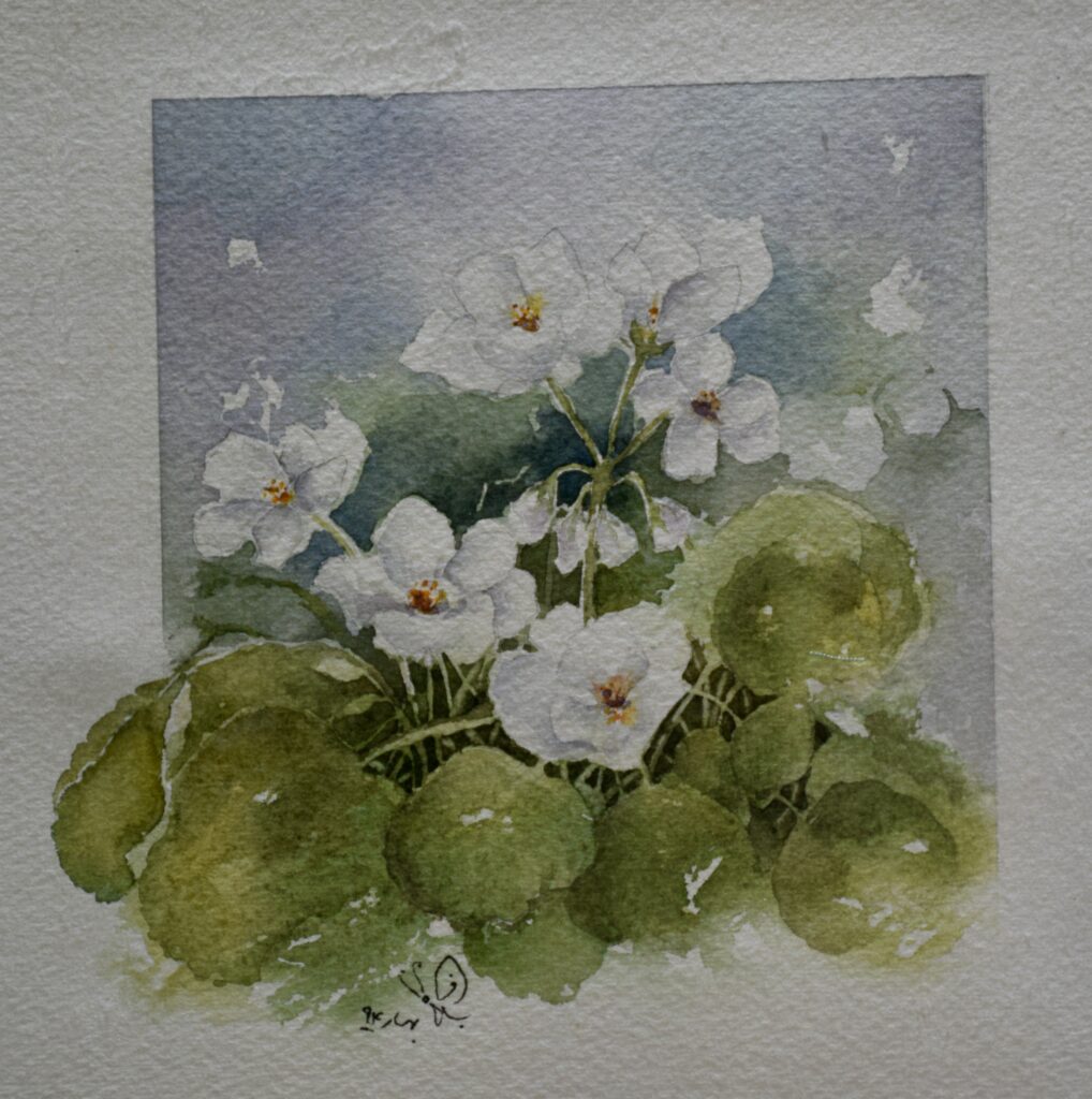White Blossoms Above Green Leaves