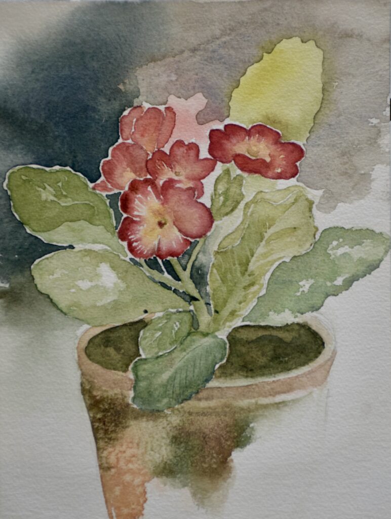 Crimson Primroses in an Earthen Pot
