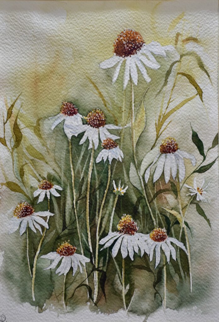 Coneflowers in a Golden Meadow