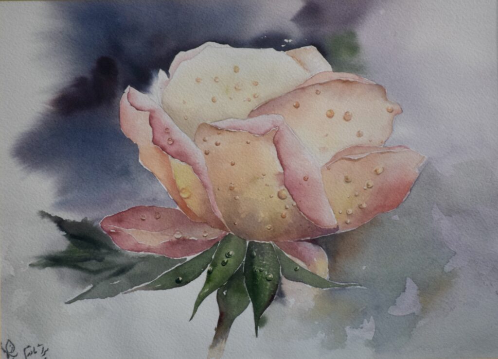 Luminous Rose After Rain
