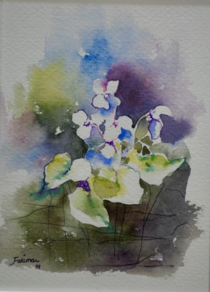 White Pansies in Colored Shadow